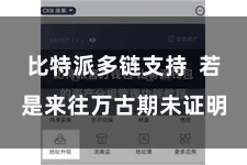 比特派多链支持 若是来往万古期未证明