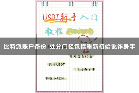 比特派账户备份 处分门径包括重新初始讹诈身手
