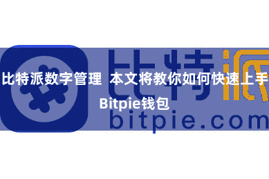 比特派数字管理  本文将教你如何快速上手Bitpie钱包