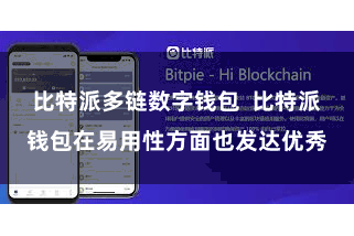 比特派多链数字钱包  比特派钱包在易用性方面也发达优秀